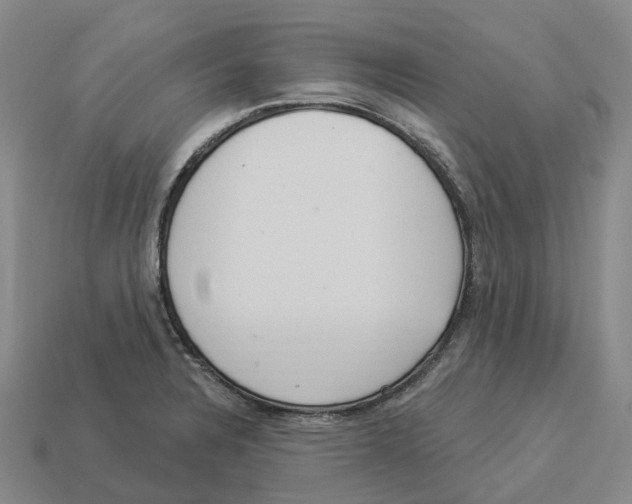 X0000114241328200911061540