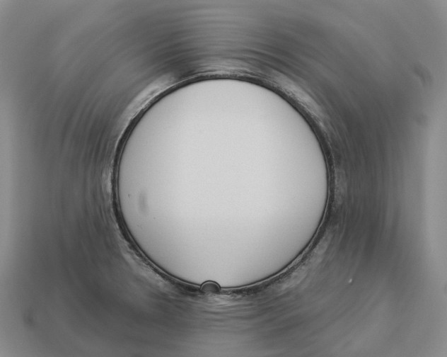 X0000114241330200911061540