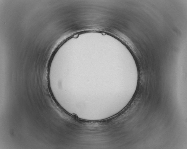 X0000114241332200911061540