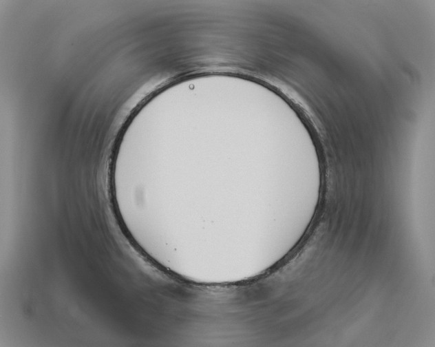 X0000114241333200911061540