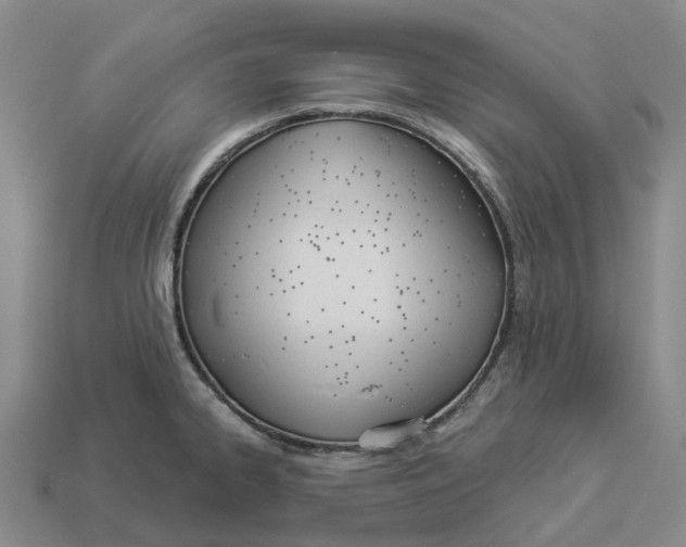 X0000114241334200911061540