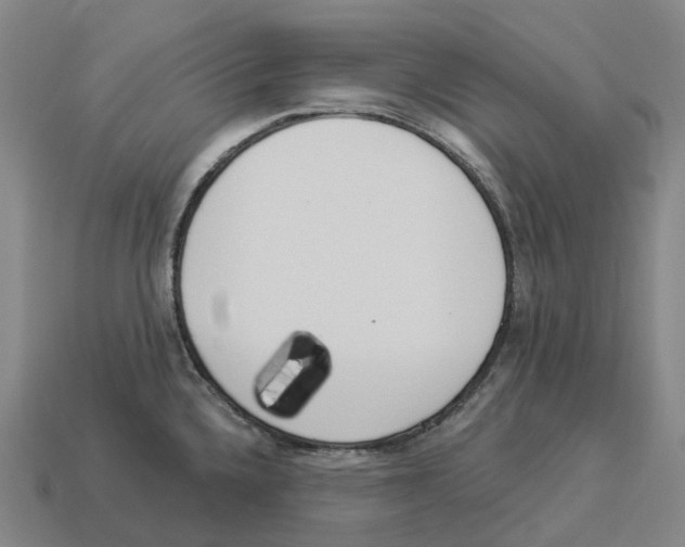 X0000114241336200911061540