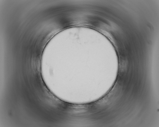 X0000114241338200911061540