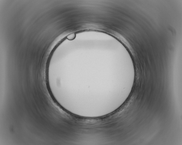 X0000114241339200911061540