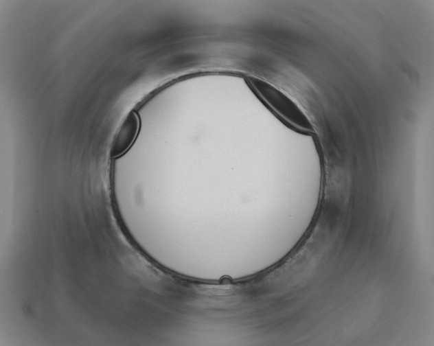X0000114241342200911061540