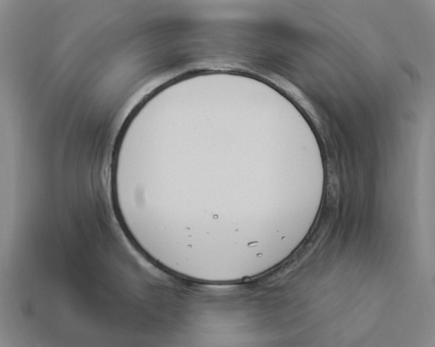 X0000114241343200911061540