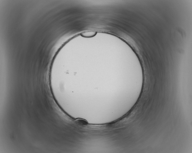 X0000114241344200911061540