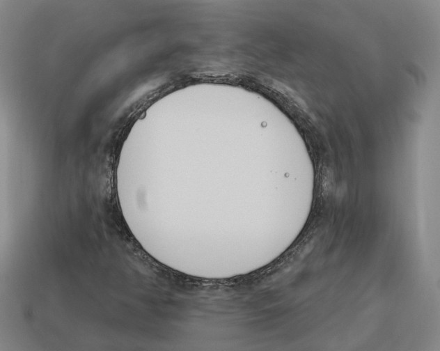 X0000114241350200911061539