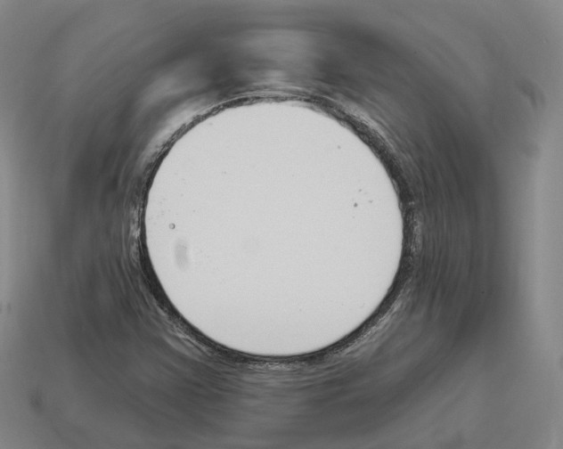 X0000114241355200911061539
