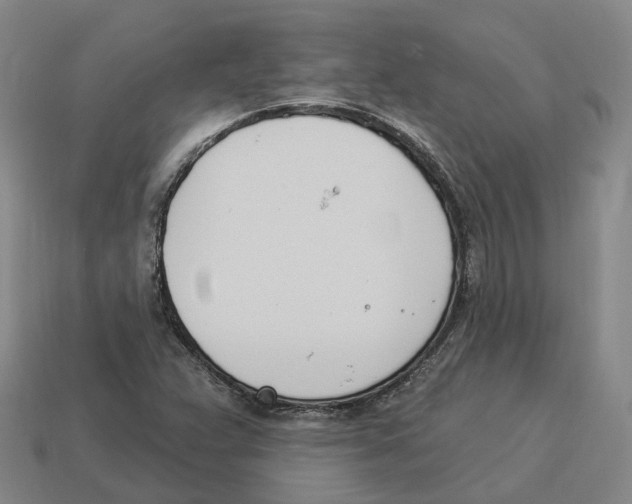 X0000114241359200911061539