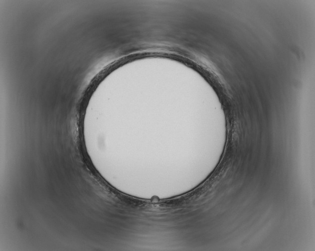 X0000114241360200911061539