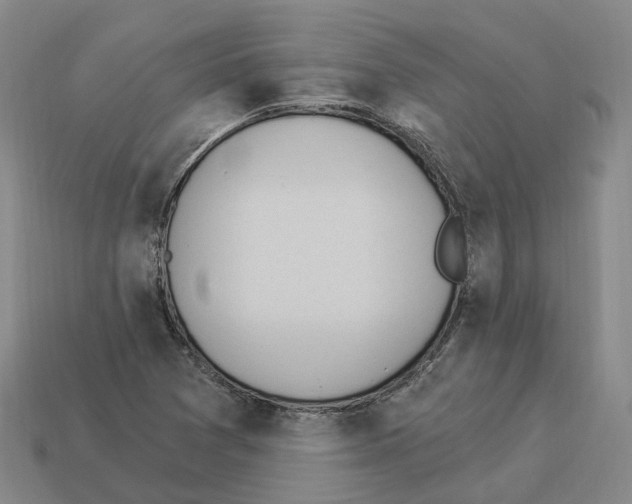 X0000114241361200911061539