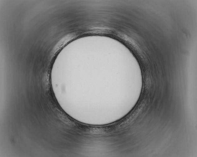 X0000114241362200911061539