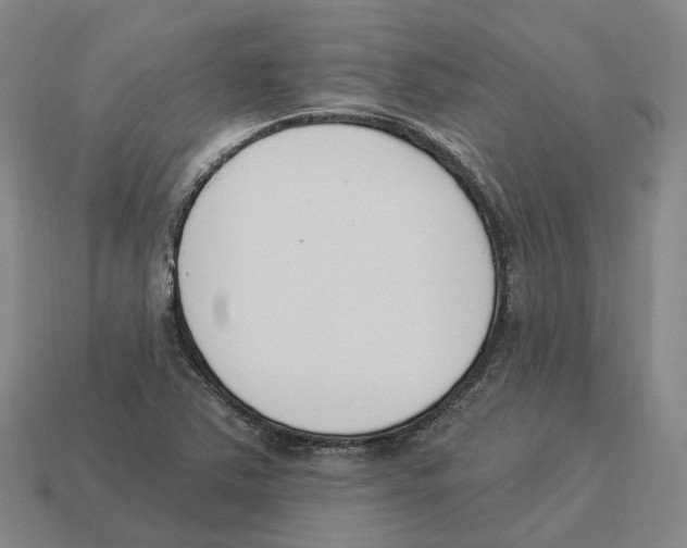 X0000114241363200911061539