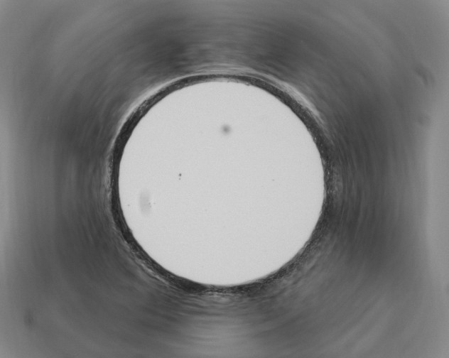 X0000114241364200911061539
