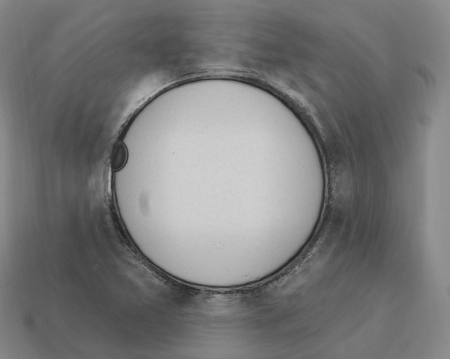 X0000114241365200911061539