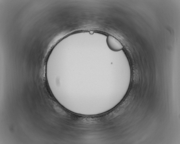 X0000114241366200911061539