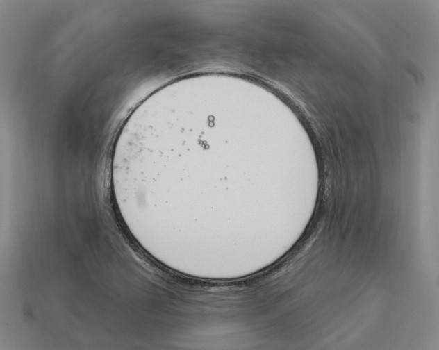 X0000114241367200911061539