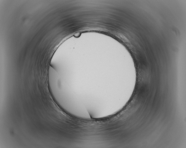 X0000114241369200911061539