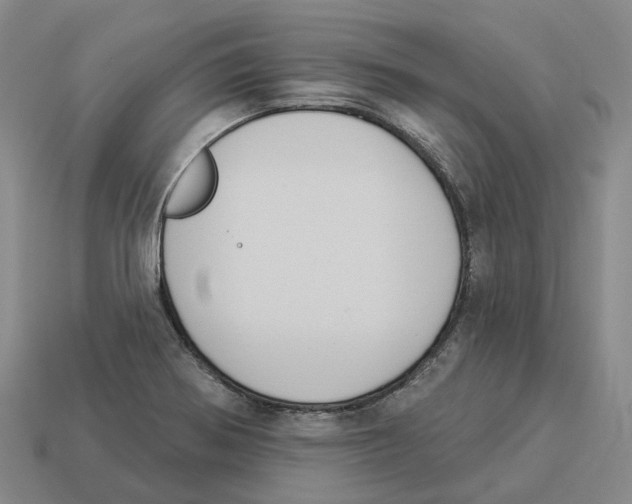 X0000114241370200911061539