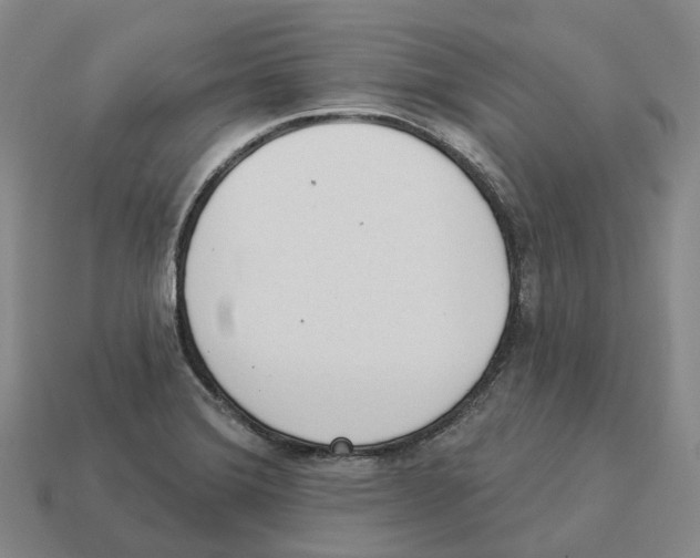 X0000114241372200911061539