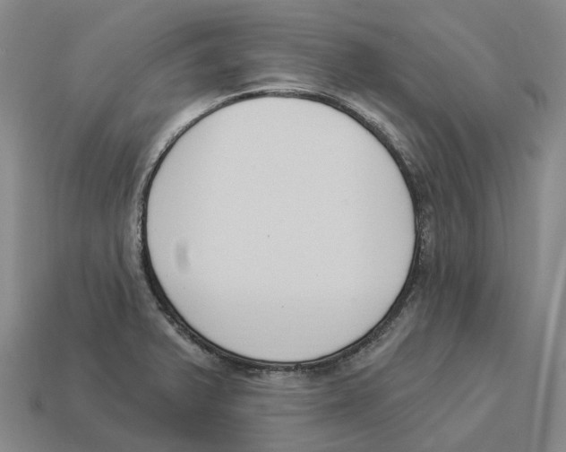 X0000114241375200911061539