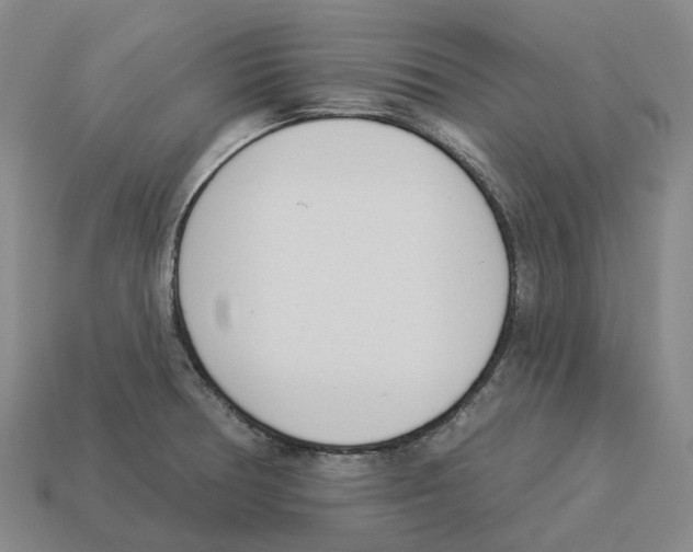 X0000114241378200911061539