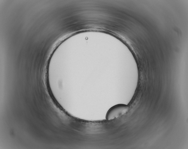 X0000114241379200911061539
