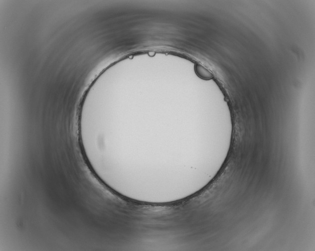 X0000114241382200911061539