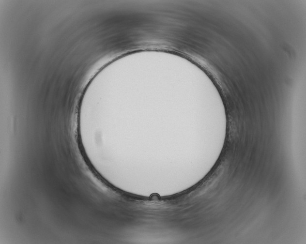 X0000114241383200911061539