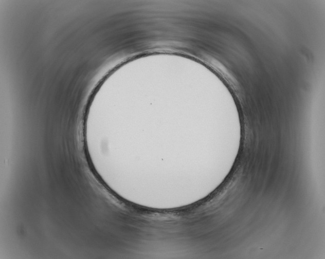 X0000114241384200911061539