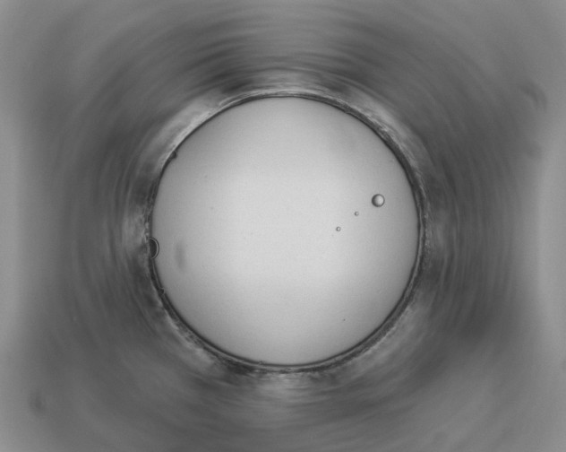 X0000114241385200911061539