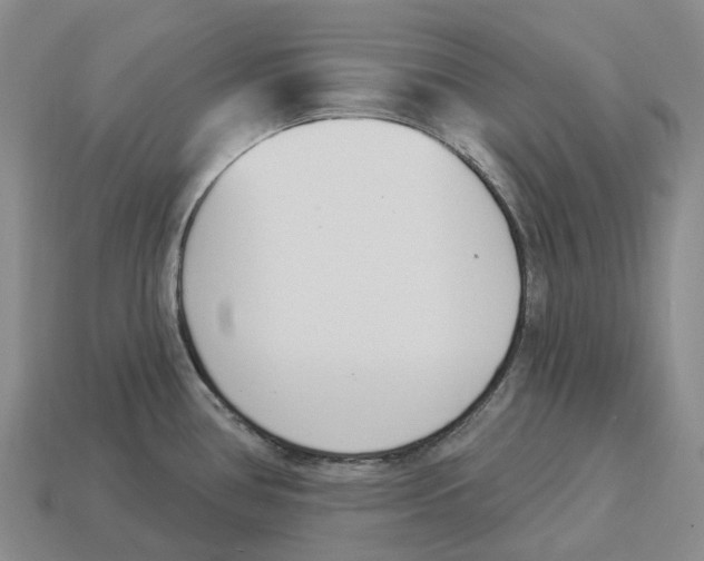 X0000114241386200911061539