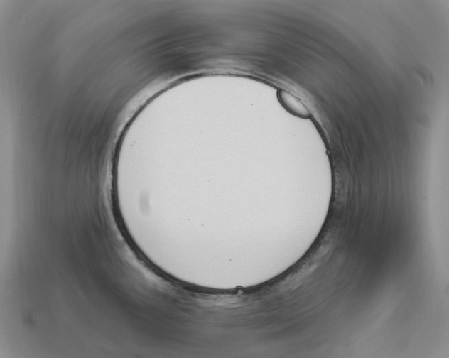 X0000114241387200911061539