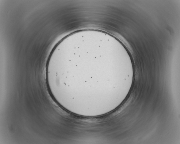 X0000114241388200911061539