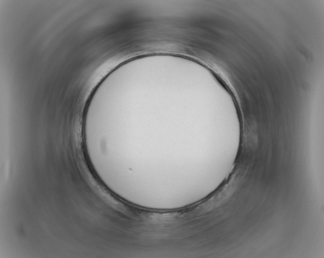 X0000114241389200911061539