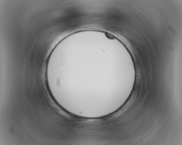X0000114241390200911061539