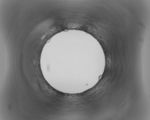 X0000114241393200911061538