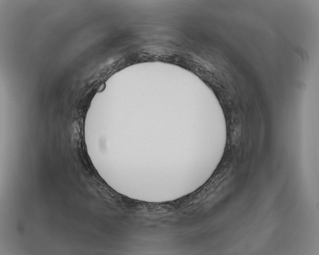 X0000114241397200911061538