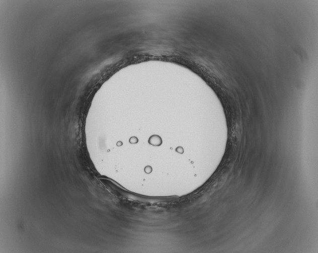 X0000114241398200911061538