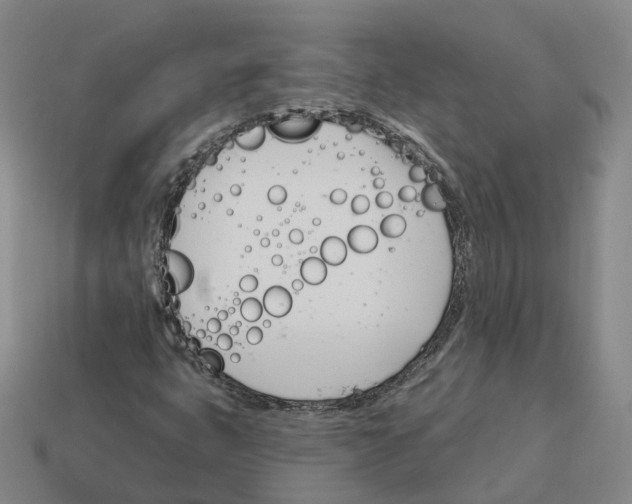 X0000114241399200911061538