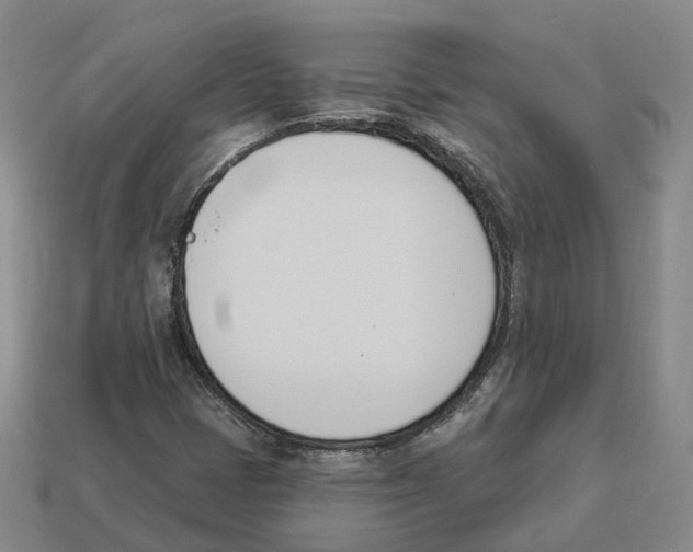 X0000114241401200911061538