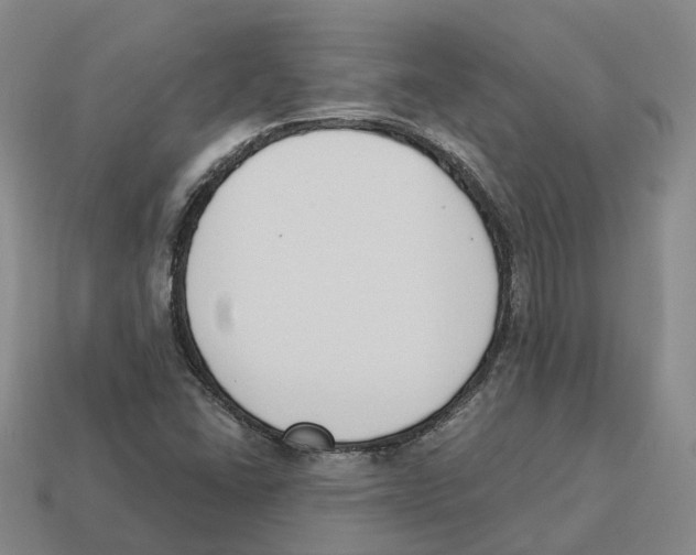 X0000114241406200911061538