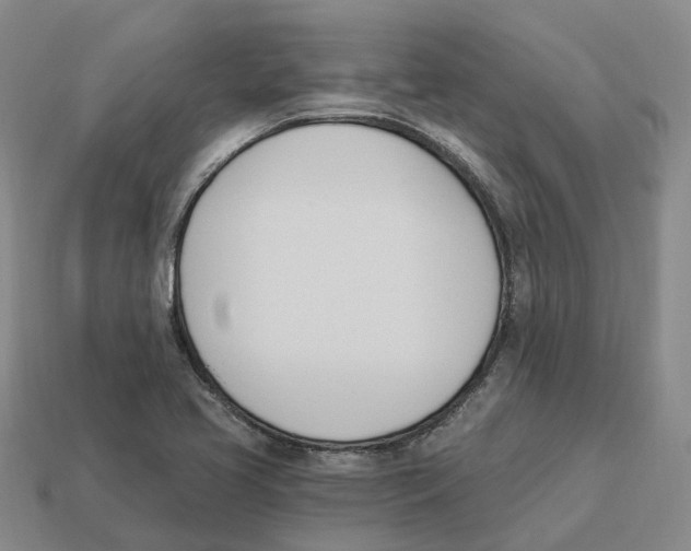 X0000114241413200911061538