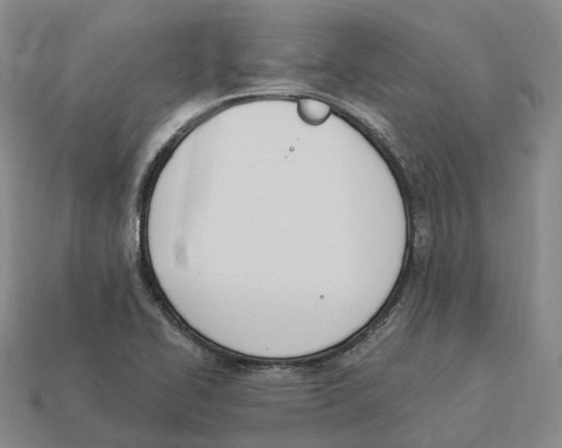 X0000114241414200911061538