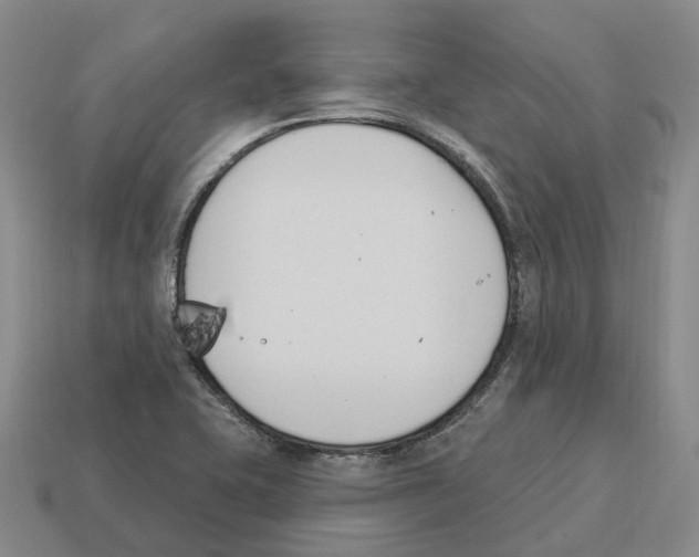 X0000114241415200911061538