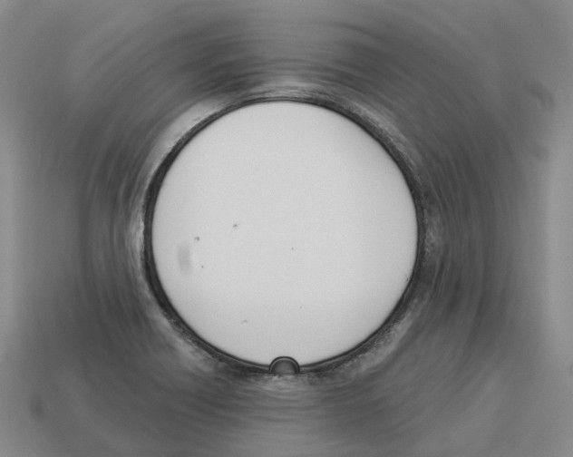 X0000114241418200911061539