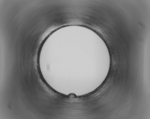 X0000114241422200911061539
