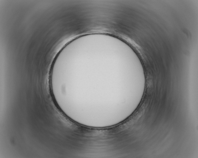 X0000114241423200911061539