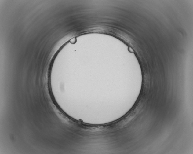 X0000114241426200911061539